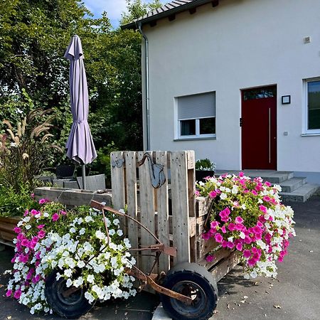 Ferienwohnungen Frank Segnitz Buitenkant foto
