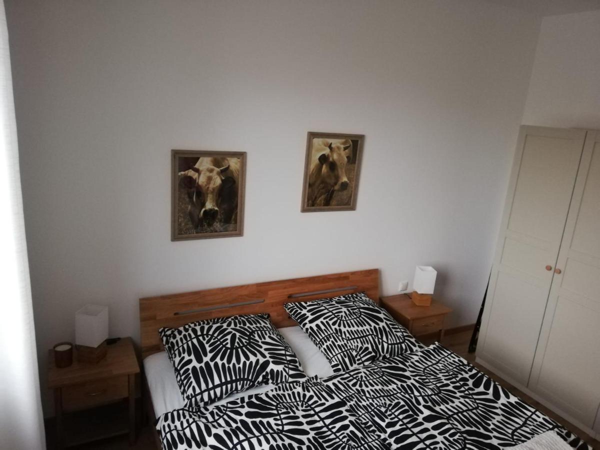 Ferienwohnungen Frank Segnitz Buitenkant foto