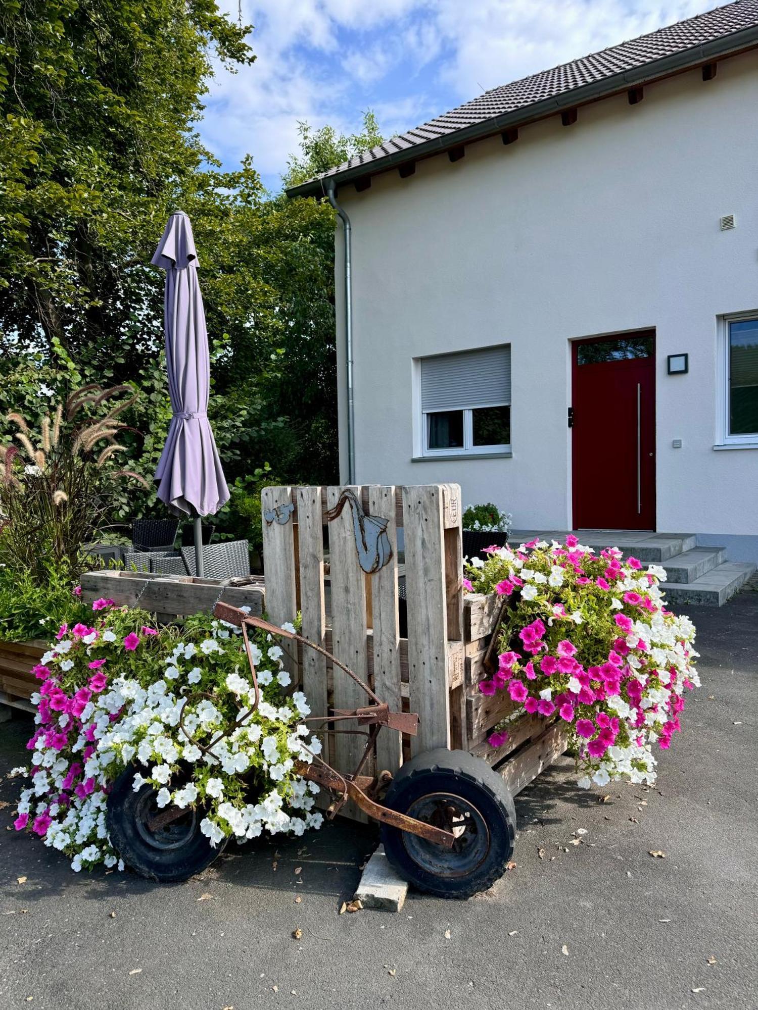 Ferienwohnungen Frank Segnitz Buitenkant foto